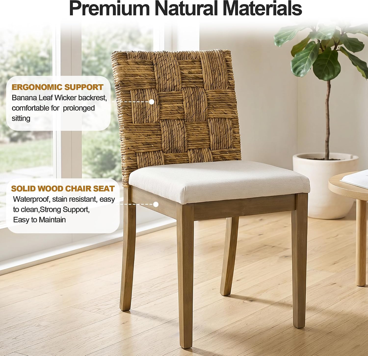 Rattan Dining Chairs Set of 2